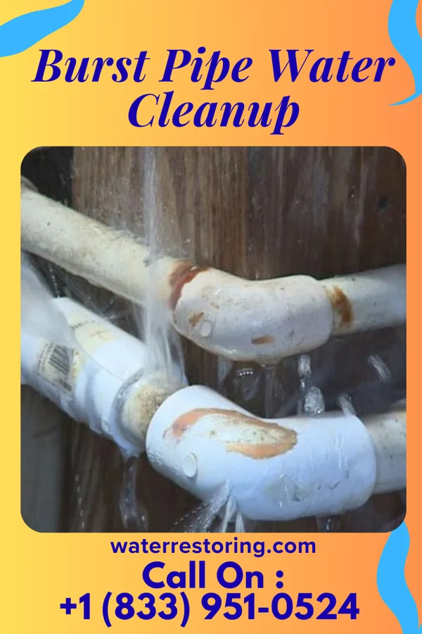 Burst Pipe Water Cleanup in Genoa, OH