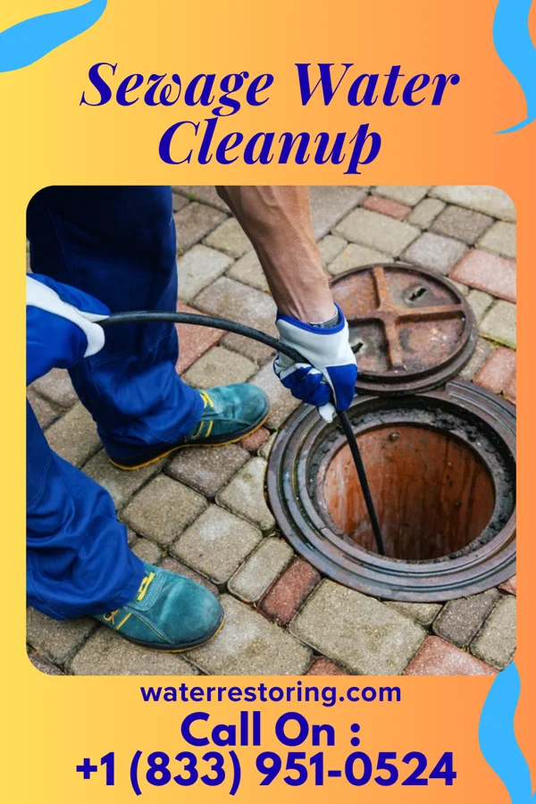 Sewage Water Cleanup in Genoa, OH