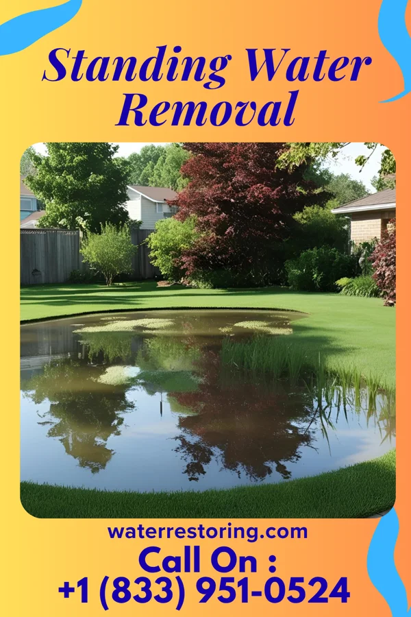 Standing Water Removal in Genoa, OH